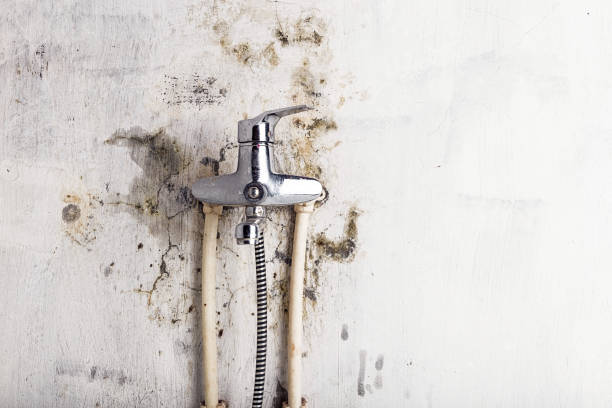 Best Certified Mold Removal  in Marietta, PA