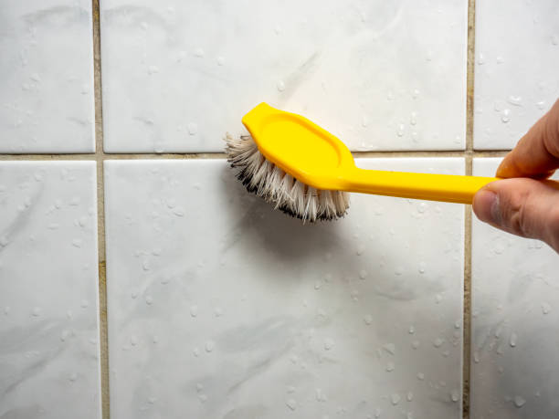 Best Mold Damage Repair  in Marietta, PA
