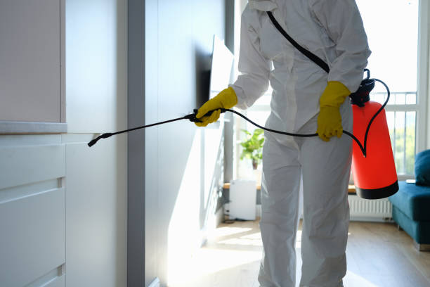 Best Mold Cleaning Services  in Marietta, PA